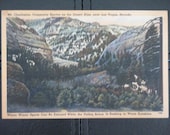 Mt. Charleston, Vintage Postcard