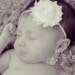 Ambrea Tripp