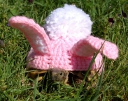 Easter Bunny tortoise cozy - made to order