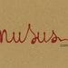 Nusus Accessories