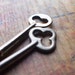 Heart and Soul Skeleton Key Duo / Heart Skeleton Key