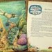 Watch Out for the Giant Clam Vintage Original Diving Coral Reef Illustration Number 374