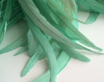 VOGUE COQUE TAIL Feathers , Mint Green / 156
