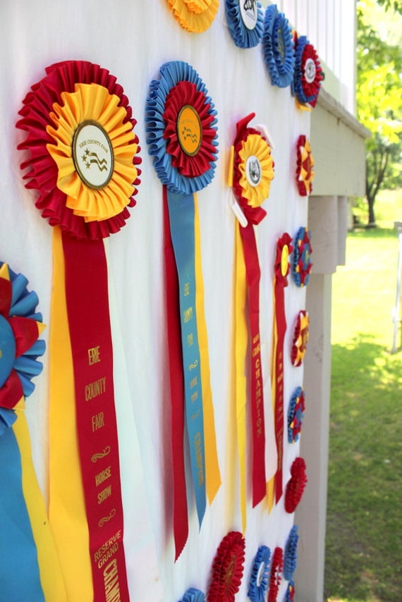 Horse Show Ribbon Memory Quilt Wall Hanging