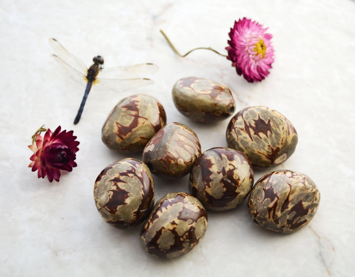 Grey Marble Tagua Nuts 1 pc various size / Organic Tagua