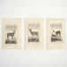 antique book plates
