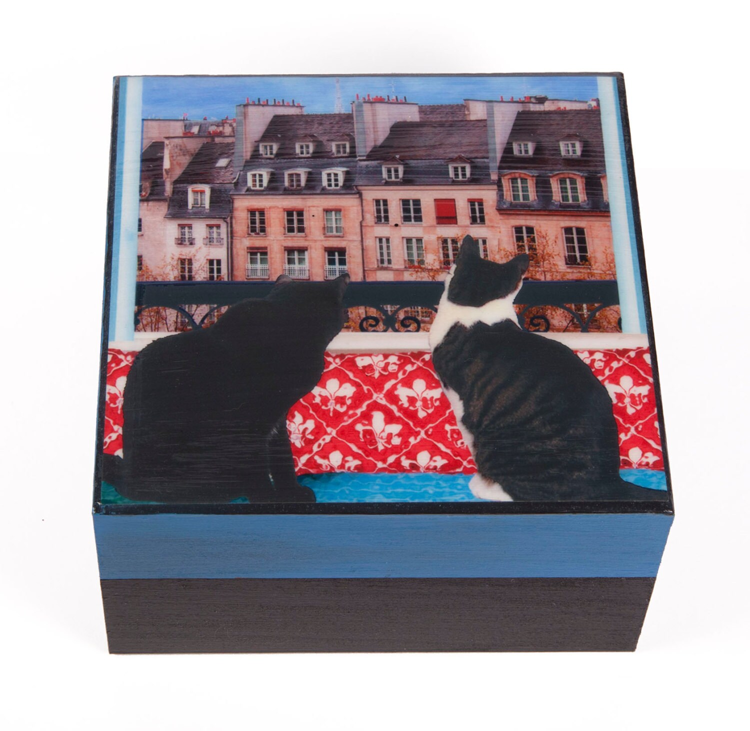 Wooden Keepsake Box Cat Art Paris Decor Cat Lover Gift