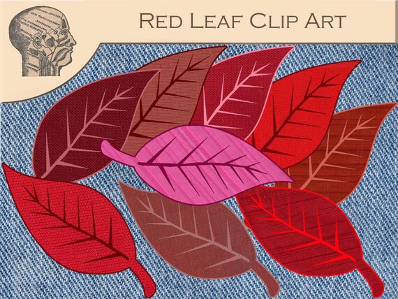 clip art red leaf - photo #33