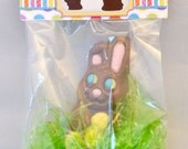 Funny and Silly Chocolate Bunny Easter Printable Bag Topper Il_170x135