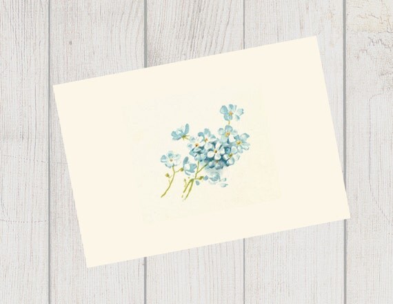 Forget Me Not Note Cards