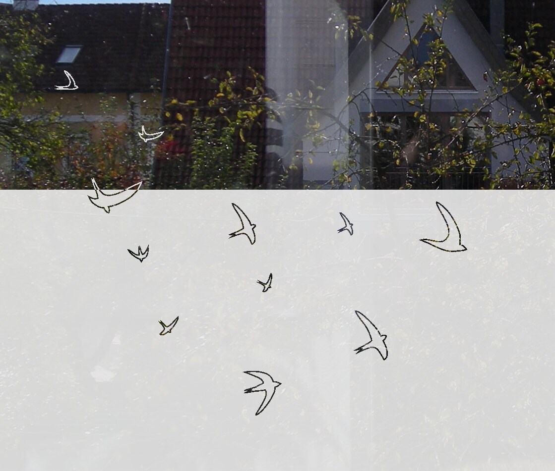 Flying Bird Window Film Decorative Window Privacy Film with