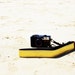Pure Gold Camera Strap suits for DSLR / SLR with Quick Release Buckles