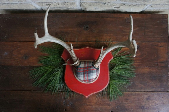 Vintage Deer Antler Mount  Red Gray Plaid  Woodland Decor Christmas Holiday Unique Taxidermy Wall Art