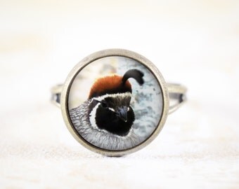 Items similar to Quail House / Game Bird Recall Pen Plans - Digital