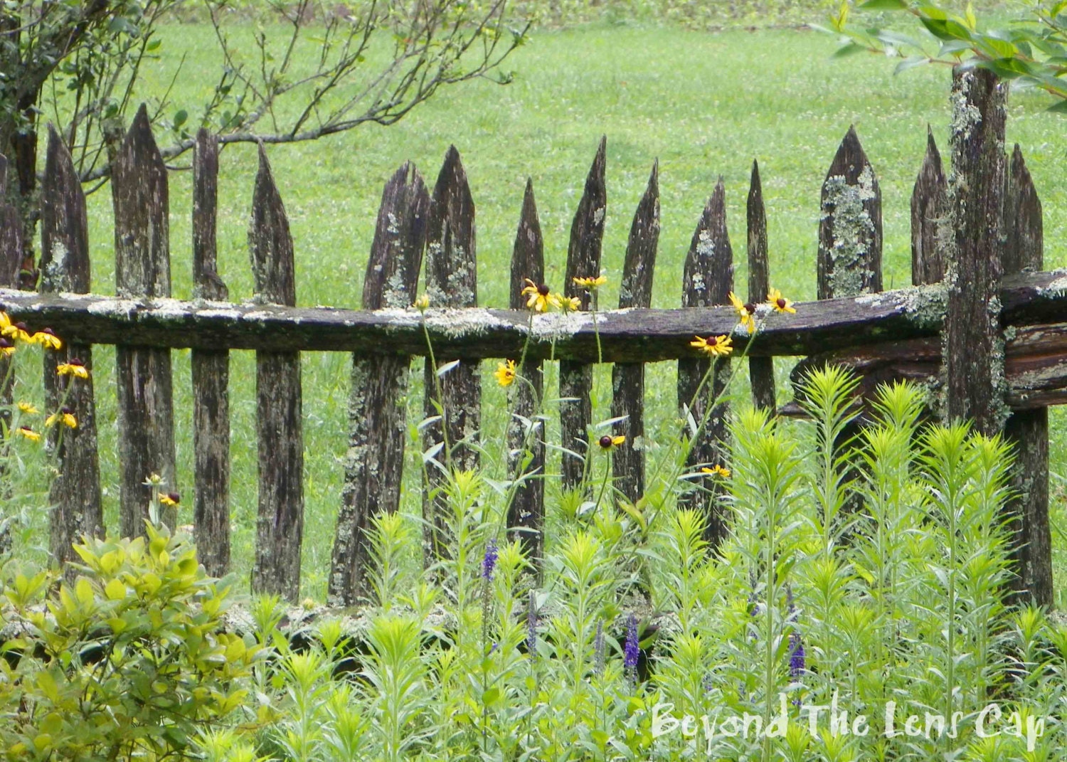 Rustic Wooden Picket Fence With Flowers By Oldredbarnmercantile