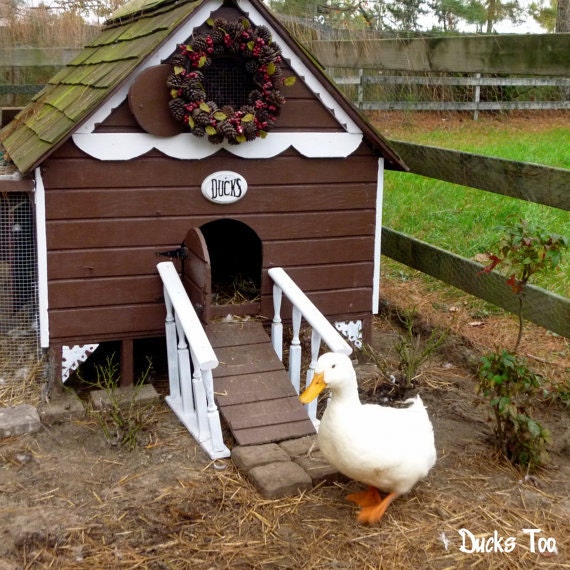 Gingerbread Duck House Plans PDF Room in Coop for up to 6
