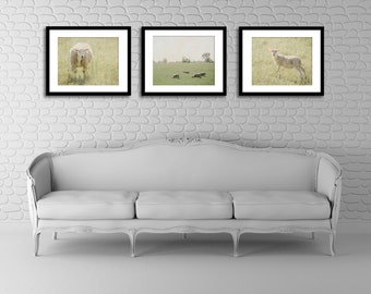 Farm Photography Set, Sheep Picture, Country Wall Decor, Rustic Photograph Set, Three Picture Set, 8x10 Photo Set