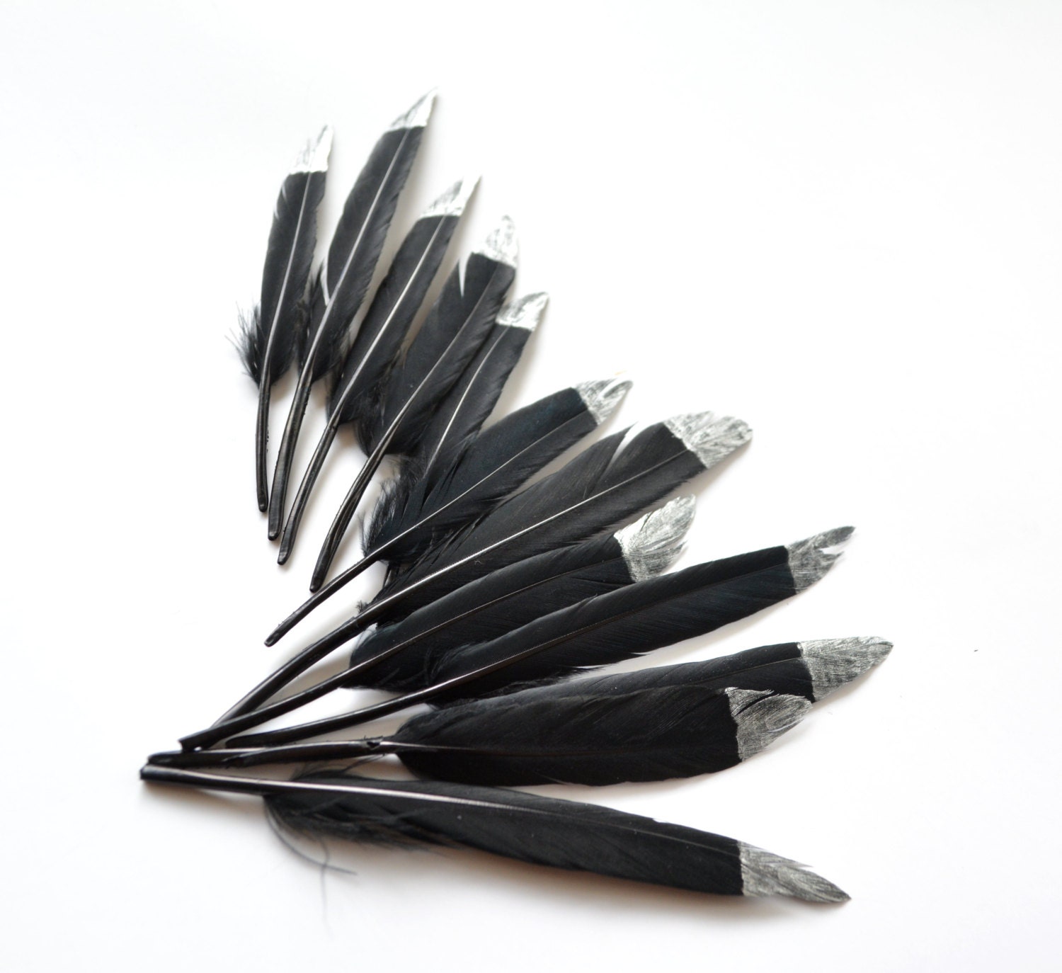 SILVER DIPPED black feathers metallic silver tip hand painted