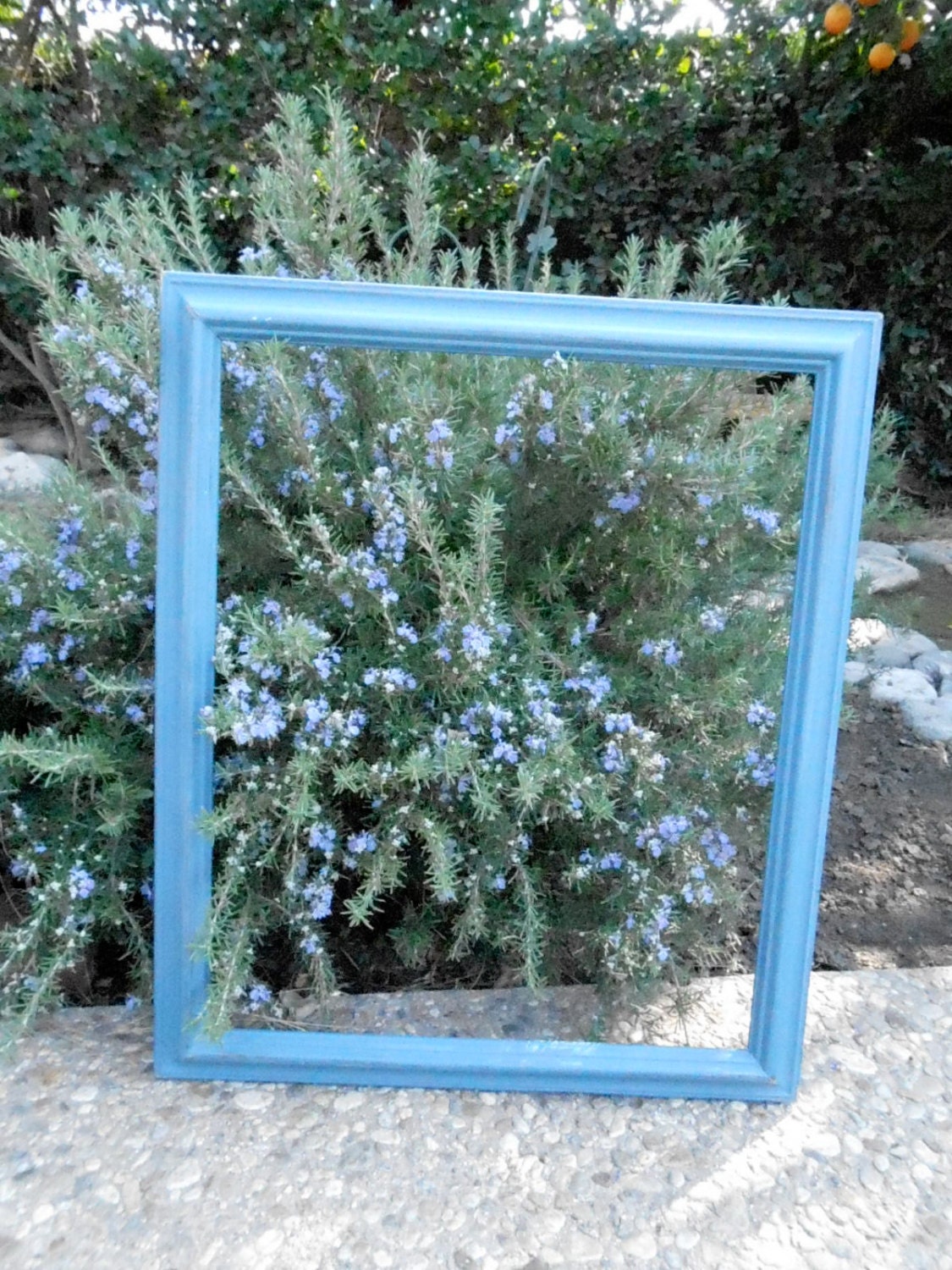 Large Picture Frame 18 x 22 inch opening No by TheTreeLinedHome