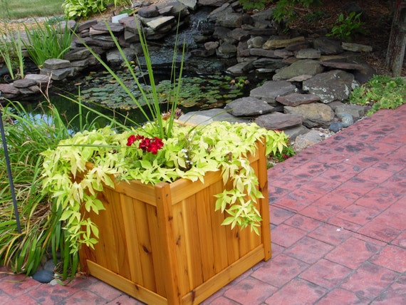 Cedar Planter Box 20 square