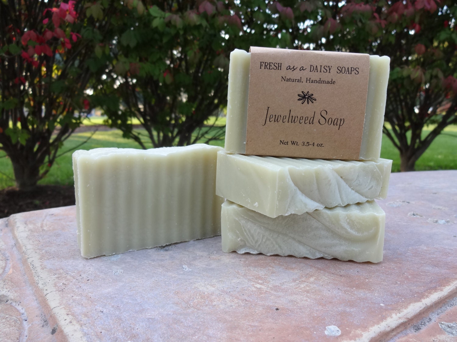 Jewelweed Soap Natural Handmade Soap Poison by FreshAsaDaisySoaps