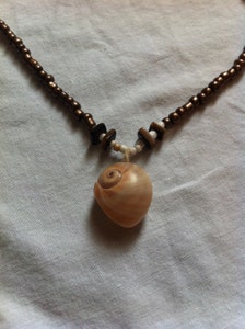 Moon Snail Shell Necklace Natural and hand collected shells