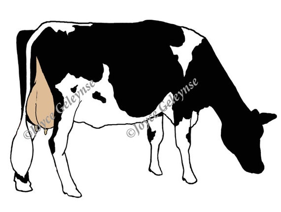 clip art holstein cow - photo #10