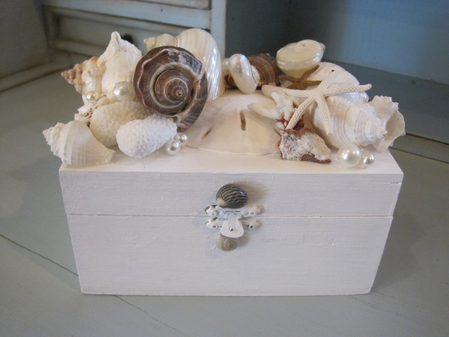 Beach Decor Seashell Jewelry Box Jewelry Box Shell Jewelry