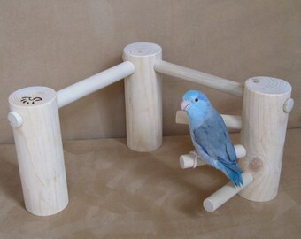 Parrotlet to Cockatiel Bird Perch
