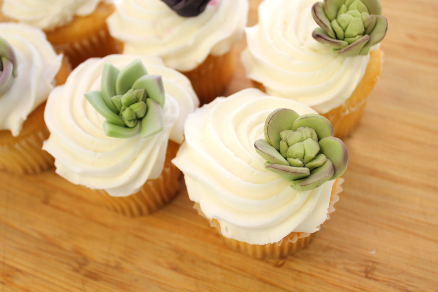 Edible Fondant Sugar Flower SUCCULENTS gumpaste succulents