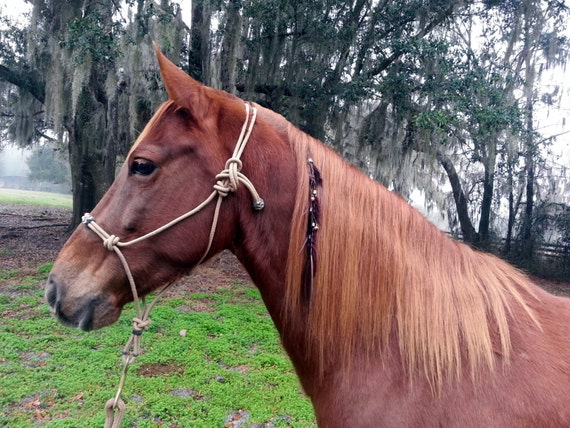 Fairie and Feathers Equine Mane Dangler  Faerie by MyBuddyBling