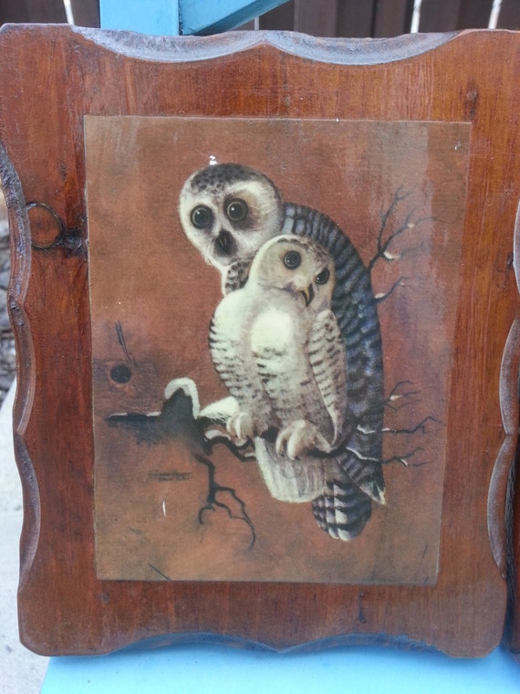 Adorable Owl Prints on Wood Wall Hanging by ShinlanderSwag