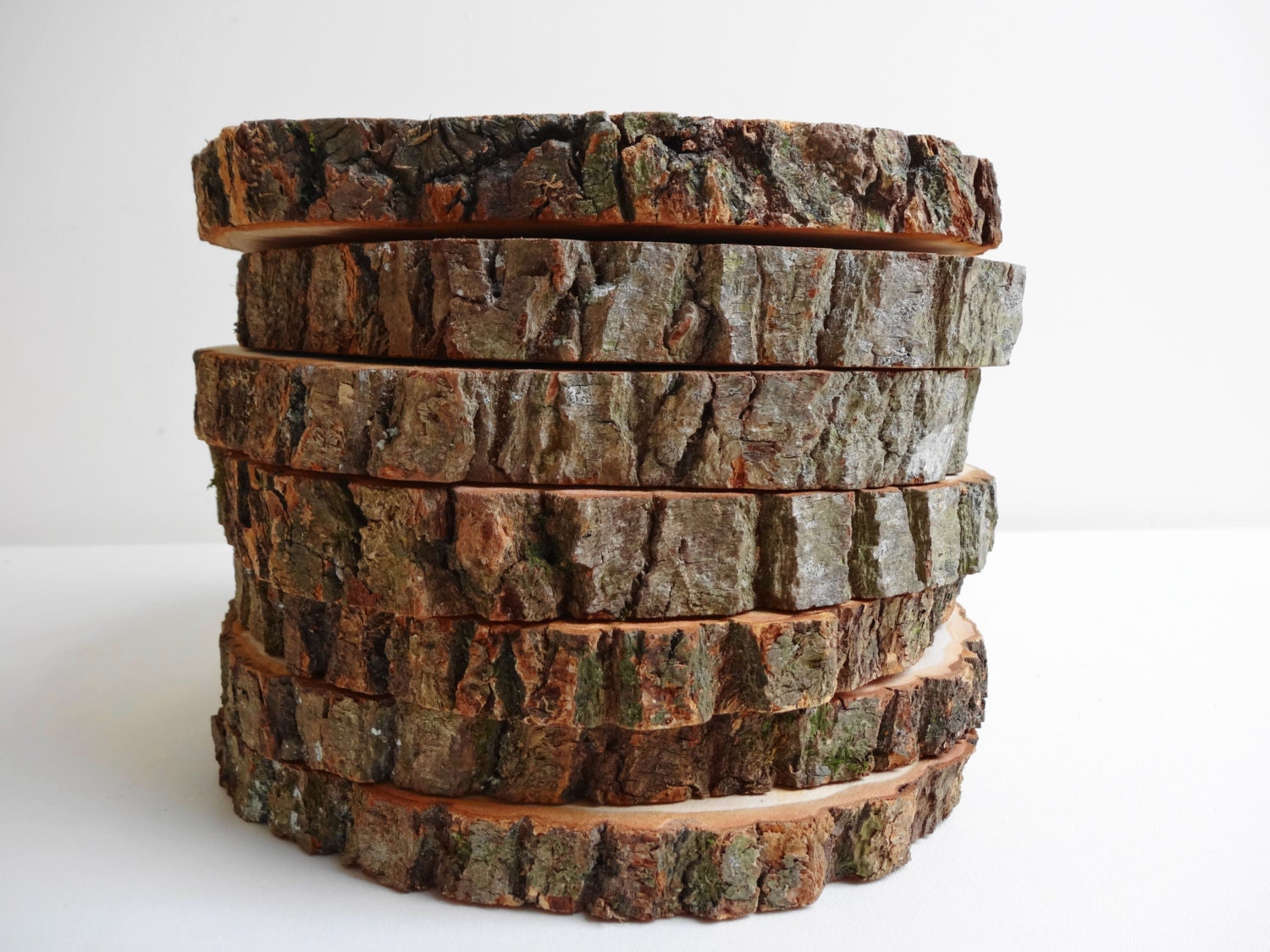 Wood Slices Tree Slices 7 Wood Slices Wood Slabs