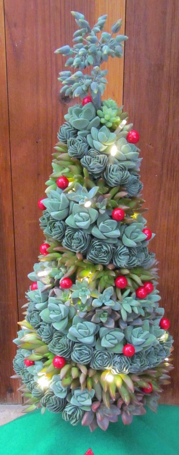 Succulent Christmas Tree by SucculentSolutions on Etsy