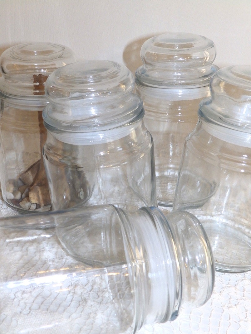 4 Lidded Sealed Glass Jars for Display/Terrariums by bauble2bijou