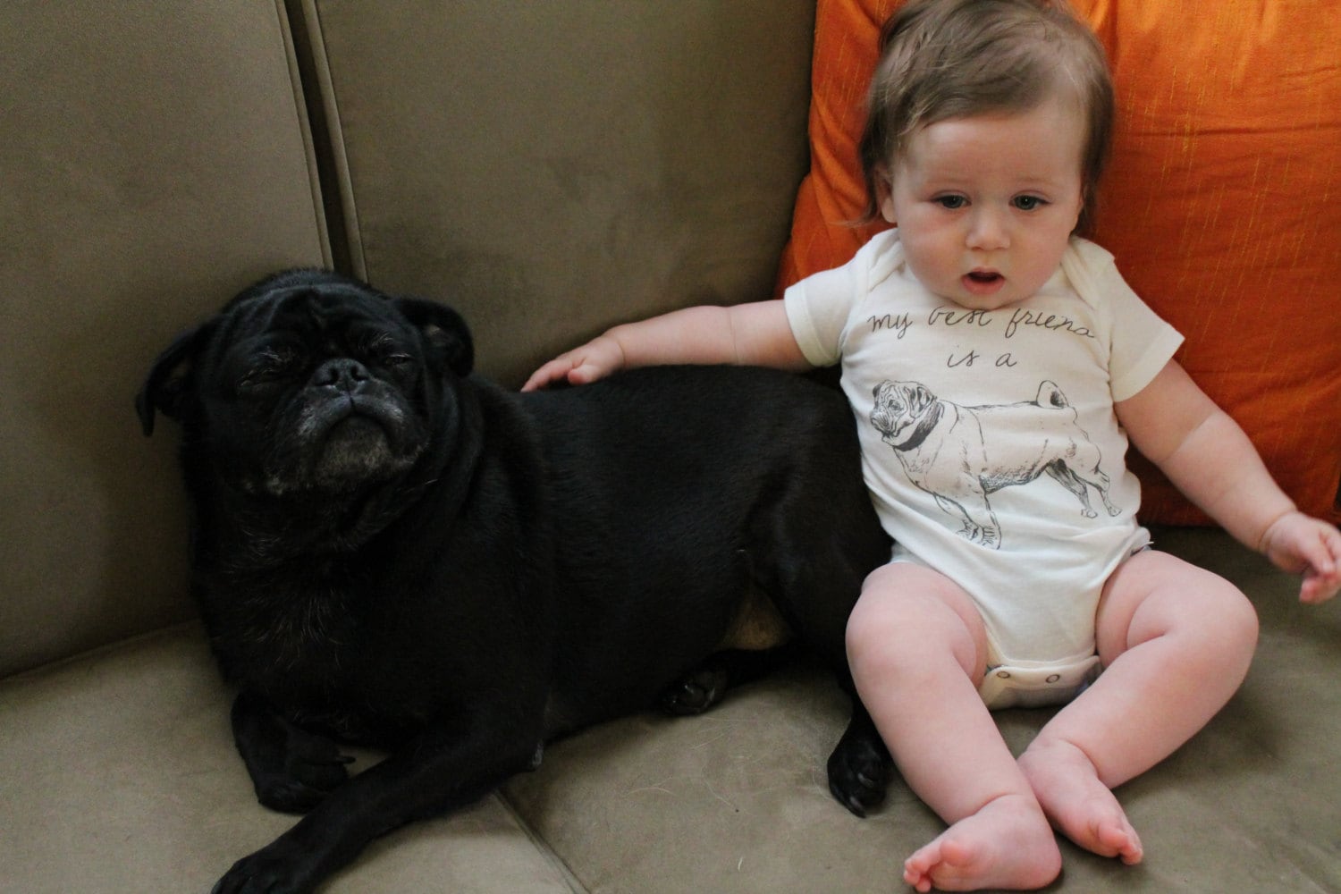 Pugs and kids