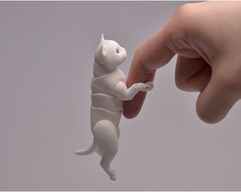 BJD cat British. Elleo Dolls