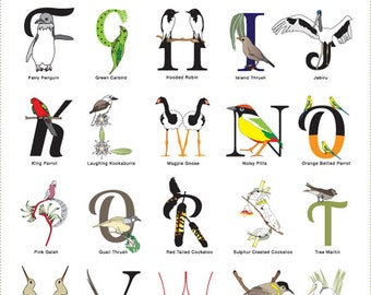 Items similar to 11X14 Colorful Alphabet Poster on Etsy