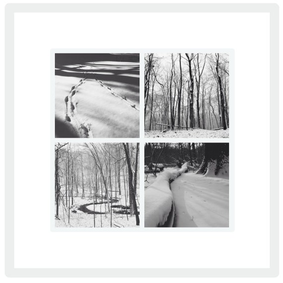 Winter in PA: Black and White