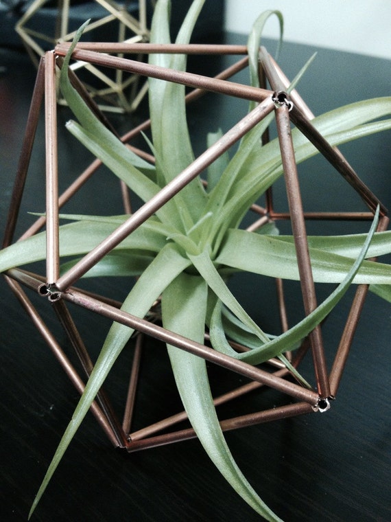 Items similar to Lrg Geometric Air Plant Planter Includes air plant and hanging chain Copper