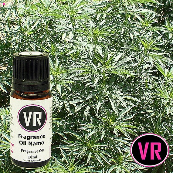 10ml Cannabis Fragrance Oil for Home Fragrancing by VandaRoseAroma