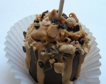 Peanut Butter Chocolate Marshmallow Pops