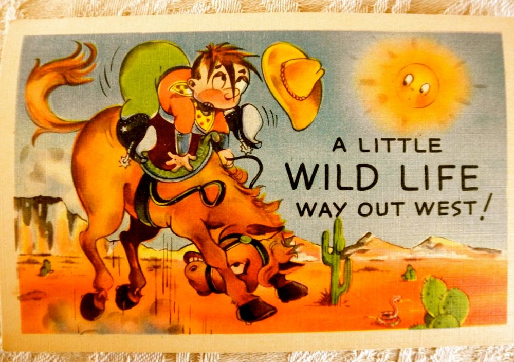 Yee Haw Vintage 1950s Cartoon Wild West by FiveDollarVintageGal