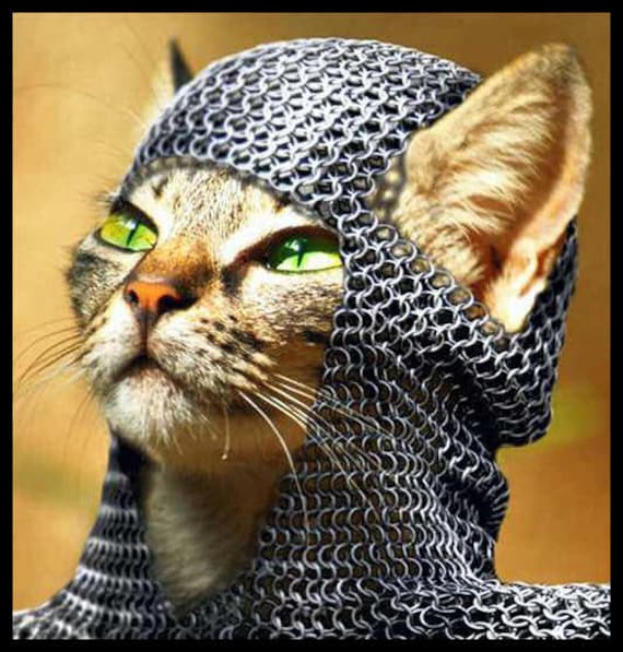 Items similar to Cat Grail funny chainmail kitten medieval armour Men's