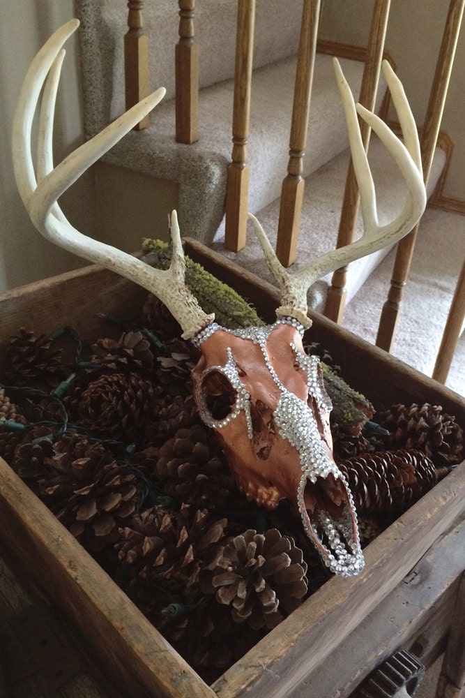 Deer Skull / Rhinestone / European Mount / Rustic Home Decor