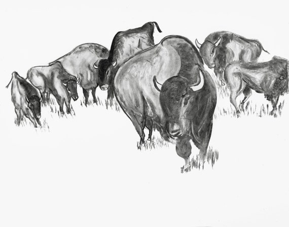 Items similar to Buffalo Herd, GICLEE PRINT, Charcoal Drawing on Etsy