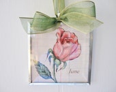 Art Print 3x3 Print Flower of the Month June Rose Beveled Glass