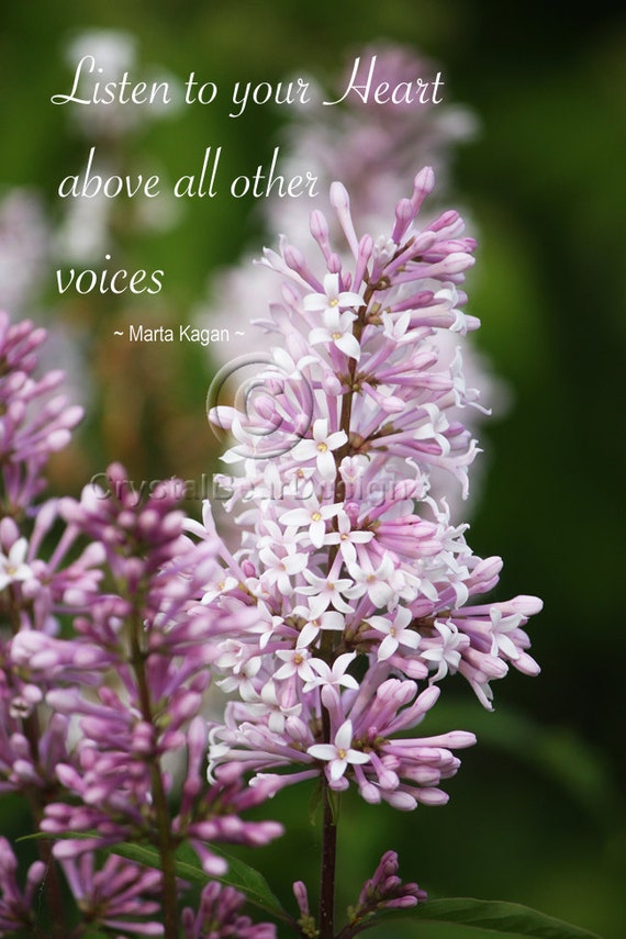 Items similar to Inspirational Photo Greeting Card Quote Lilacs