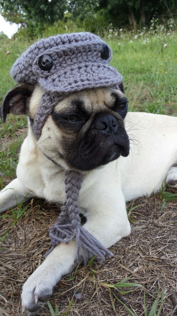 Items Similar To Newsboy Dog Hat Old Fashioned Hat For Dogs Hat For