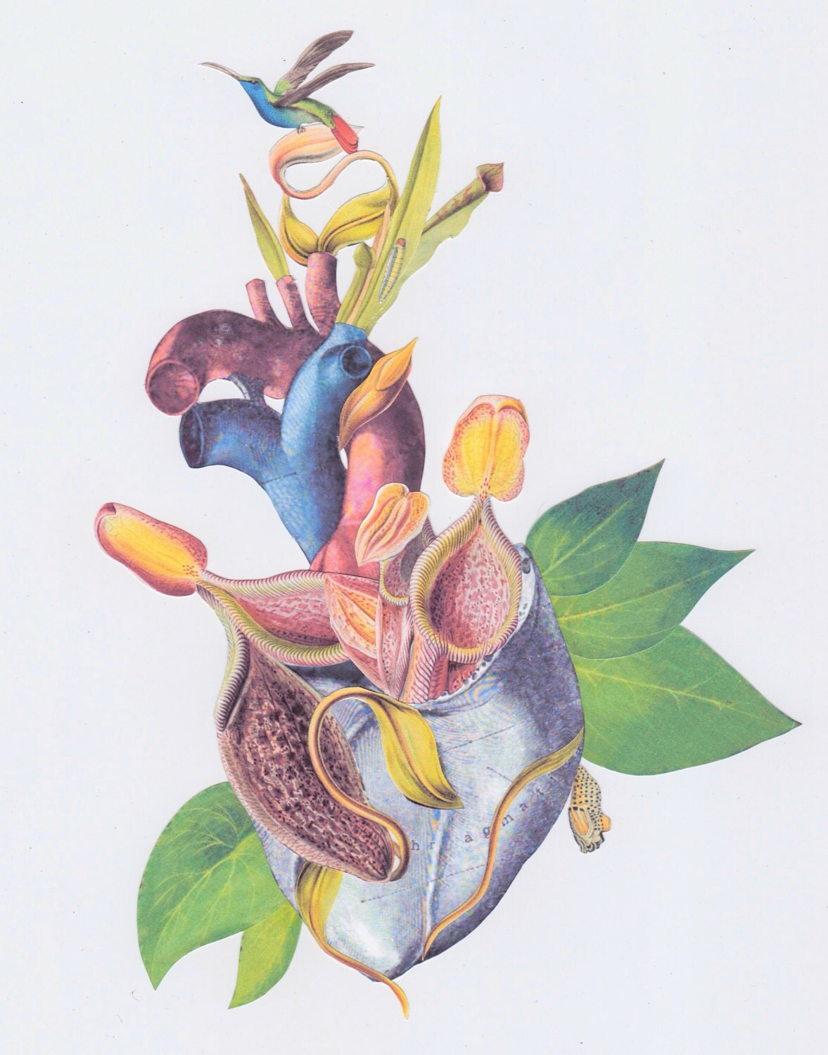 carnivorous heart surreal anatomy anatomical collage art by